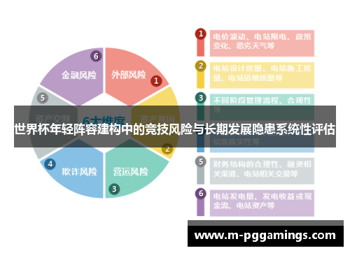 世界杯年轻阵容建构中的竞技风险与长期发展隐患系统性评估