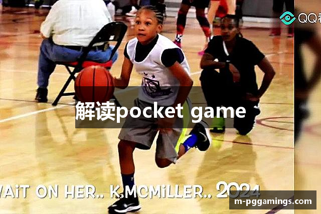 解读pocket game